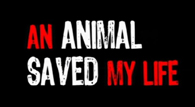 An Animal Saved My Life a hit